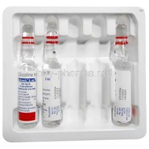 Strocit Injection, Citicoline 250 mg/mL, Injection 2mL, Sun Pharmaceutical Industries, Package