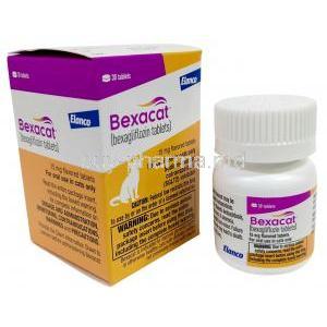 Bexacat, Bexagliflozin 15 mg, Elanco GmbH, Box, Bottle